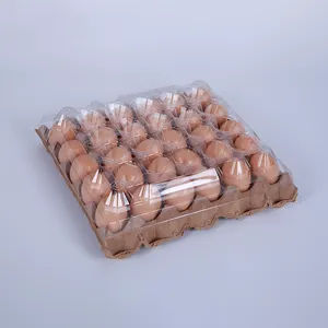 Quality Assurance Convenient Large PET Plastic 30 Holes Egg Tray for Food Shop Restaurant