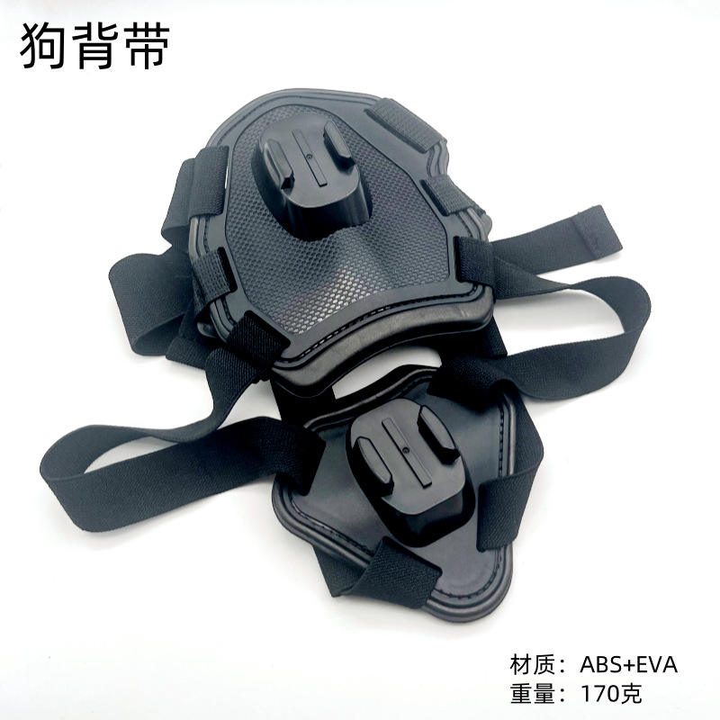 Dog leash (accessories not included)