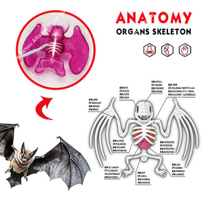 Jouet éducatif d'animaux dissectionnés, Jouets STEM, Kit de laboratoire scientifique éducatif pour la dissection de chauves-souris, Jouets de slime d'animaux simulés dissectionnés - Product Image 4