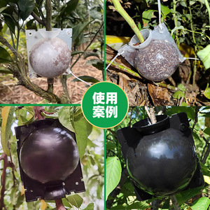 Grafting <b>box</b>, plant rooting device, <b>garden</b> tree air layering device, propagation ball <b>tool</b>, plant air <b>box</b>. - Product Image 3