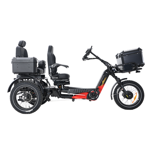 Triciclo Eléctrico de Carretera de Buena Calidad, 2500W, 2 Motores, para Adultos, Carrocería Abierta, 152Ah, 3 Baterías, 400KM, Certificado CE, 48V, 2 Pasajeros - Product Image 1