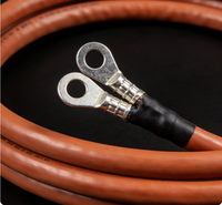Câble d'alimentation pour charge de batterie avec bornes annulaires M6/M8, noir et rouge, 16/25/50 mm², haute intensité, pour onduleur de stockage d'énergie RV, marque OEM