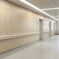 Panneau mural en aluminium alvéolaire ignifuge et imperméable, plaque murale décorative en métal plate pour intérieur commercial