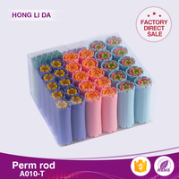 Vente chaude A010-T Ensemble de boîtes colorées Rouleaux à cheveux en plastique PP et lisseur à cheveux Température froide Convient avec motif de tige