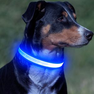 Electronic LED <b>Dog</b> Collar Adjustable Reflective <b>Lights</b> Nylon Solid Pattern Anti-Lost Avoid Car Accidents for <b>Dogs</b> - Product Image 1