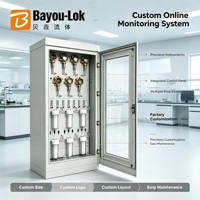Système de prélèvement de gaz multi-canaux en ligne OEM Bayou-LOk, armoire de surveillance de débit, aménagement sur mesure, gaz spécial de laboratoire