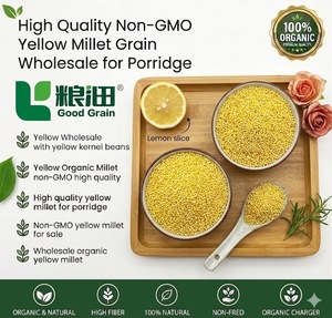 Nouvelle Ligne de Production Lancée - Millet Jaune Liangtian <span class=keywords><strong>en</strong></span> Vrac, Riche <span class=keywords><strong>en</strong></span> Protéines, Haute Qualité, au Meilleur Prix - Product Image 1