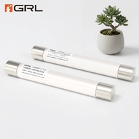 Fusible Limitador de Corriente de Alto Voltaje GRL XRNP1-12, 12KV 0.5A 1A 2A 3.15A 4A, Fusibles de Protección para Transformadores de Voltaje 50kA