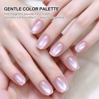 HS OEM Marque Privée 12 Couleurs Vernis Gel Magnétique Effet Œil de Chat à Base de Perles de Verre Végétalien Non Toxique UV LED Soak Off