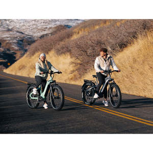 Vélo électrique tout-terrain D5 (Zebra) Premium, autonomie 60 km, 48V 350W, avec moteur roue arrière pour la conduite tout-terrain, multicolore Zebra Pre - Product Image 6