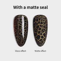 Nouveau Gel Craquelé RS Nail – Gel UV Professionnel pour Ongles, Effet Écaille de Tortue, Soak Off, OEM