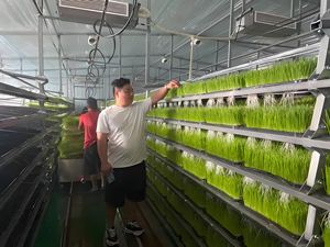 Salle <span class=keywords><strong>de</strong></span> fourrage hydroponique à haute efficacité Plateaux <span class=keywords><strong>de</strong></span> fourrage hydroponiques Système <span class=keywords><strong>de</strong></span> culture d'herbe - Product Image 5