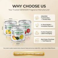 Vente en gros de désodorisant liquide parfumé naturel SOCELI en canette avec logo personnalisé pour les détaillants de produits bio