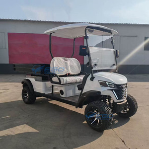 Voiturettes de golf électriques de qualité supérieure pour 2 personnes, vente directe d'usine, idéales pour les zones touristiques, à prix abordable - Product Image 4
