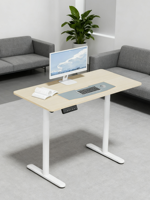 Escritorio de Computadora para Juegos PRORIALS, Moderno, Ergonómico, de Doble Motor, Columna Única, Superficie de Madera, Marco Metálico, Altura Ajustable