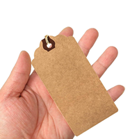 100 étiquettes cadeaux en papier vierges grandes avec ficelle et œillet renforcé, inscriptibles, pour prix, expédition et inventaire