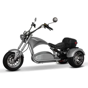 Motor central 12 pulgadas rueda de aluminio 60V20ah motocicleta eléctrica