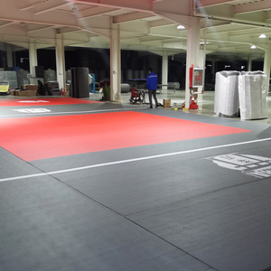 Tapis d'entraînement Flexi Wrestling bon marché BJJ Taekwondo Wushu Gym Practice Roll Out Mat - Product Image 3