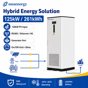 Armoire BESS Commerciale SMS 125kW 261kWh, ESS Solaire LiFePO4 avec EMS Intelligent et Port Générateur - Product Image 2