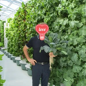 برج الزراعة المائية, جديد الزراعة المائية عمودي بمحركات الدورية حديقة برج aeroponic مزرعة الدورية نظام عمودي حديقة برج الزراعة