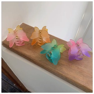 <span class=keywords><strong>Pince</strong></span> à cheveux <span class=keywords><strong>papillon</strong></span> double couche dégradée en gros pour femmes, <span class=keywords><strong>pince</strong></span> requin de luxe couleur gelée mate pour <span class=keywords><strong>coiffure</strong></span> mi-attachée - Product Image 5