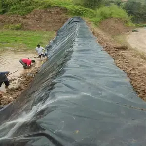 魚の池ライナー