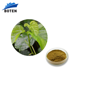 Trắng tự nhiên lá dâu tằm chiết xuất bột - Product Image 1