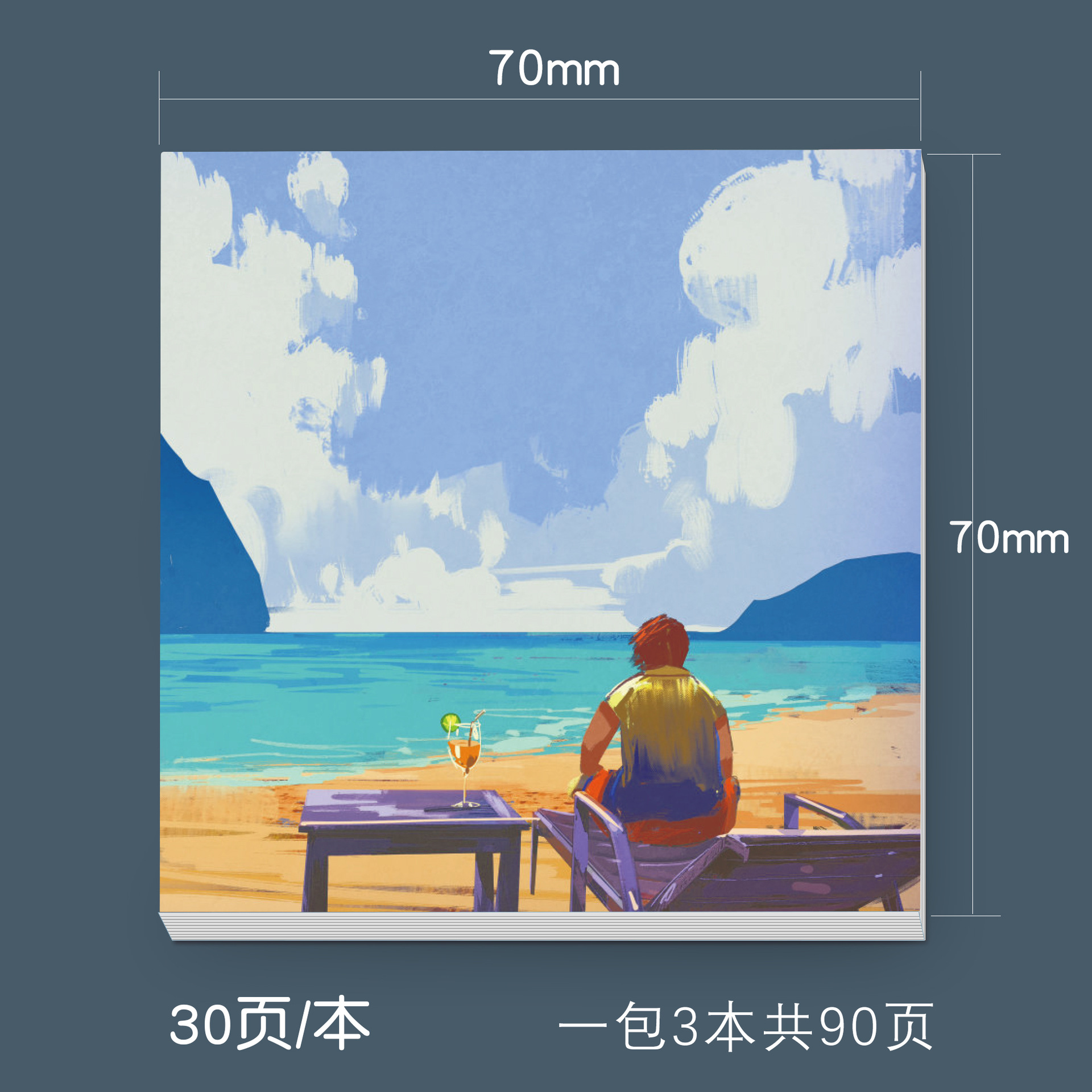 Plage Sr2009-14 avec vue sur la mer