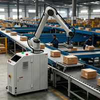 Machine de palettisation robotisée intelligente Poshysmart pour les lignes d'emballage de produits alimentaires, de vêtements et de marchandises générales