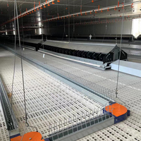 Ligne d'alimentation automatisée Pan/Chain pour fermes avicoles : Optimisez le taux de croissance