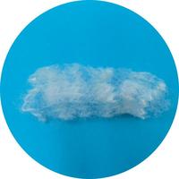 Fibre de polyester creuse siliconée blanche recyclée PSF 100% polyester 7D 64mm pour le filage
