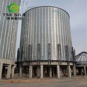 Waterproof Prefabricated Grain Flat Bottom Silo For Farms