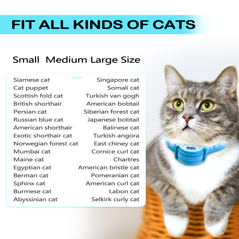 stop meowing collar