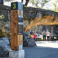 SKYSEEN Enseigne Lumineuse Personnalisée Thème Naturel en Poly avec Affichage en Pierre et Métal pour Parcs, Complexes Hôteliers et Sites Écologiques