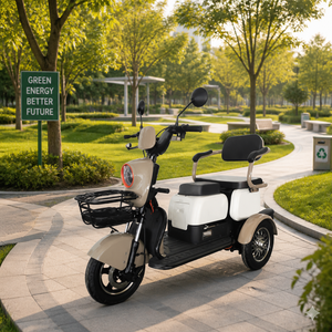 DomeRide Micro Car 2025 Nuovo Arrivo Certificazione EEC Tricicli Elettrici Piccoli 60v 1000w per Anziani - Product Image 6