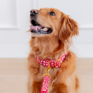 Conjunto de <span class=keywords><strong>Collar</strong></span> y Correa para Perro Ajustable de PU Suave y Nailon con Diseño Impermeable y Patrón de Corazones Personalizado - OEM/ODM Disponible - Product Image 5