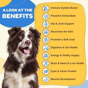Complément multivitaminé pour animaux de compagnie avec MSM et oméga-3, disponible en OEM/ODM, pour toutes les tailles de chiens, vitamines pour chiens - Product Image 2