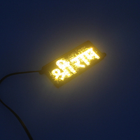 Module LED Logo Boss pour le marché automobile indien-Accessoire d'éclairage de véhicule de haute qualité