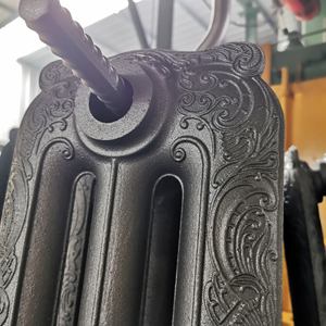 Jiangsu beigelai <span class=keywords><strong>antiguo</strong></span> agua caliente hogar usado <span class=keywords><strong>radiador</strong></span> de <span class=keywords><strong>hierro</strong></span> <span class=keywords><strong>fundido</strong></span> 3 columnas rococó una sección en primer - Product Image 6