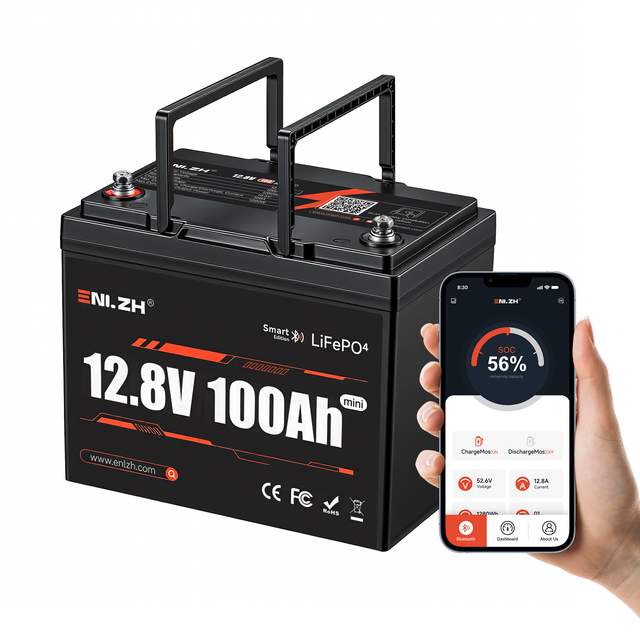 Enlzh 12V 100Ah Mini LiFePO4 Lithium Ion Battery Pack 10-Year Lifespan 1280Wh Batteries for Portable Trailer