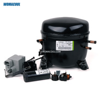 Compresseur hermétique à piston Aspera Embraco FFU160HAX 220-240V/50Hz R134a L/MBP 1/2HP pour la réfrigération