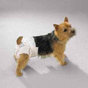 Couches jetables douces pour chiens, tailles XL, pour mâles et femelles, vente en gros - Product Image 3