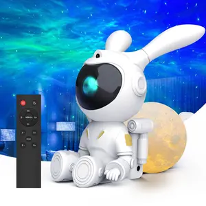 Moon Bunny Planetarium Projector 360 Degree Rotating Solar System Aurora Projector USB Plug-in Starry Sky Lamp