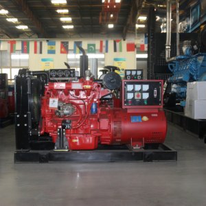 Grupo Electrógeno Confiable de 30kW 40kW 50kW 60kW con Motor Ricardo, 1500 rpm, Refrigerado por Agua, Precio de Fábrica al por Mayor - Product Image 5