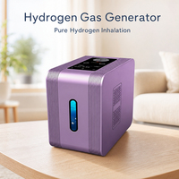 Machine d'inhalation d'hydrogène 300 ml/min, pureté 99,992 %, électrolyseur SPE PEM, 220 V, 450 W, boîtier en tôle galvanisée