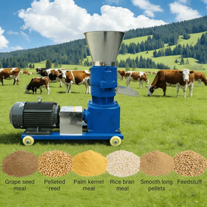 Nouvelle machine à granulés <span class=keywords><strong>pour</strong></span> aliments de volaille et animaux de compagnie (chats, poissons) – Composant essentiel : Roulement 220V haute productivité <span class=keywords><strong>pour</strong></span> la transformation des aliments - Product Image 1