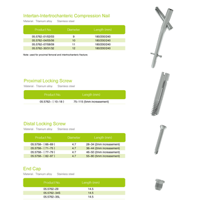 Produk implan kuku ortopedi sertifikat CE ISO kuku kompresi Intertan-intertropanternik implan kuku - Product Image 1