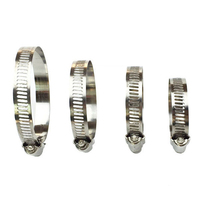 Colliers de serrage en acier inoxydable INNOX 18-8 A286 AISI304 AISI316 ANSI304 ANSI316 en acier inoxydable poli