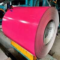 Bobinas de Acero Galvanizado Prepintadas PPGI al por Mayor, 1251-1500 mm, Bobinas de Acero PPGL, Estándar ASTM