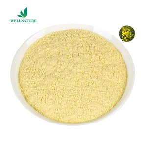 Polvere di Fiore di Colza all'Ingrosso 10:1 20:1 Polvere di Brassica Campestris Polvere di Polline d'Api - Product Image 2